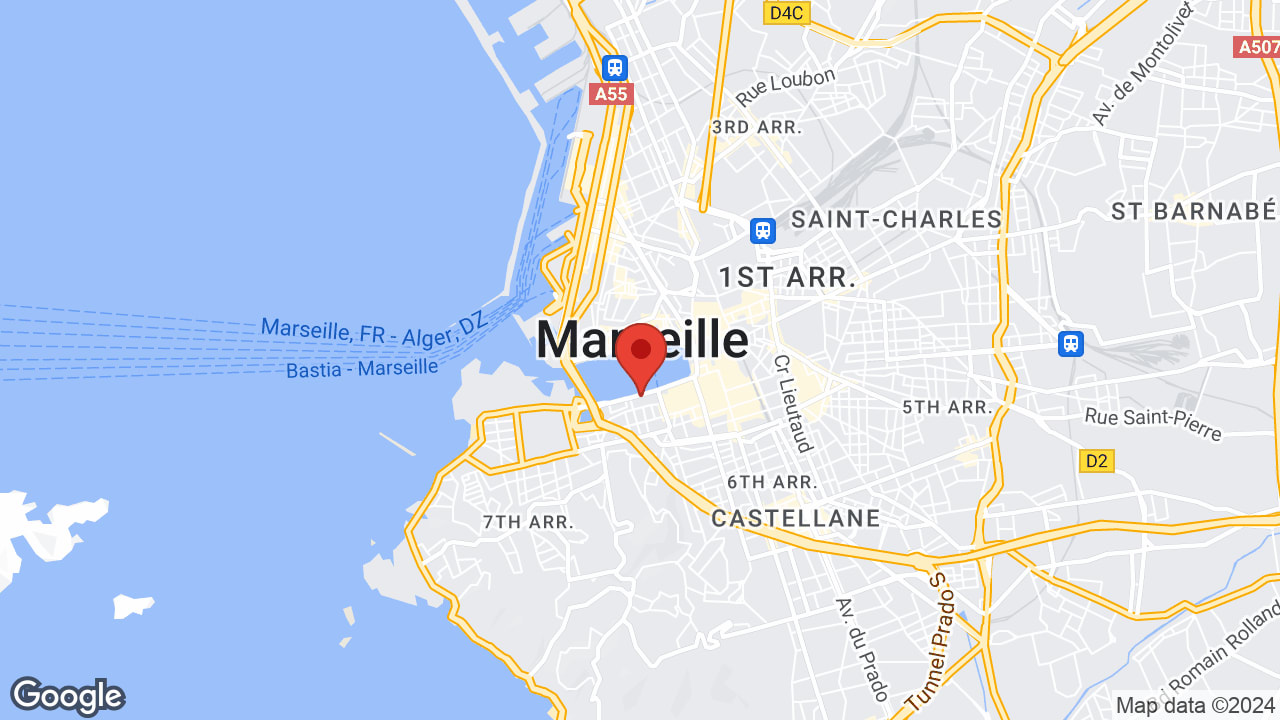 Google map