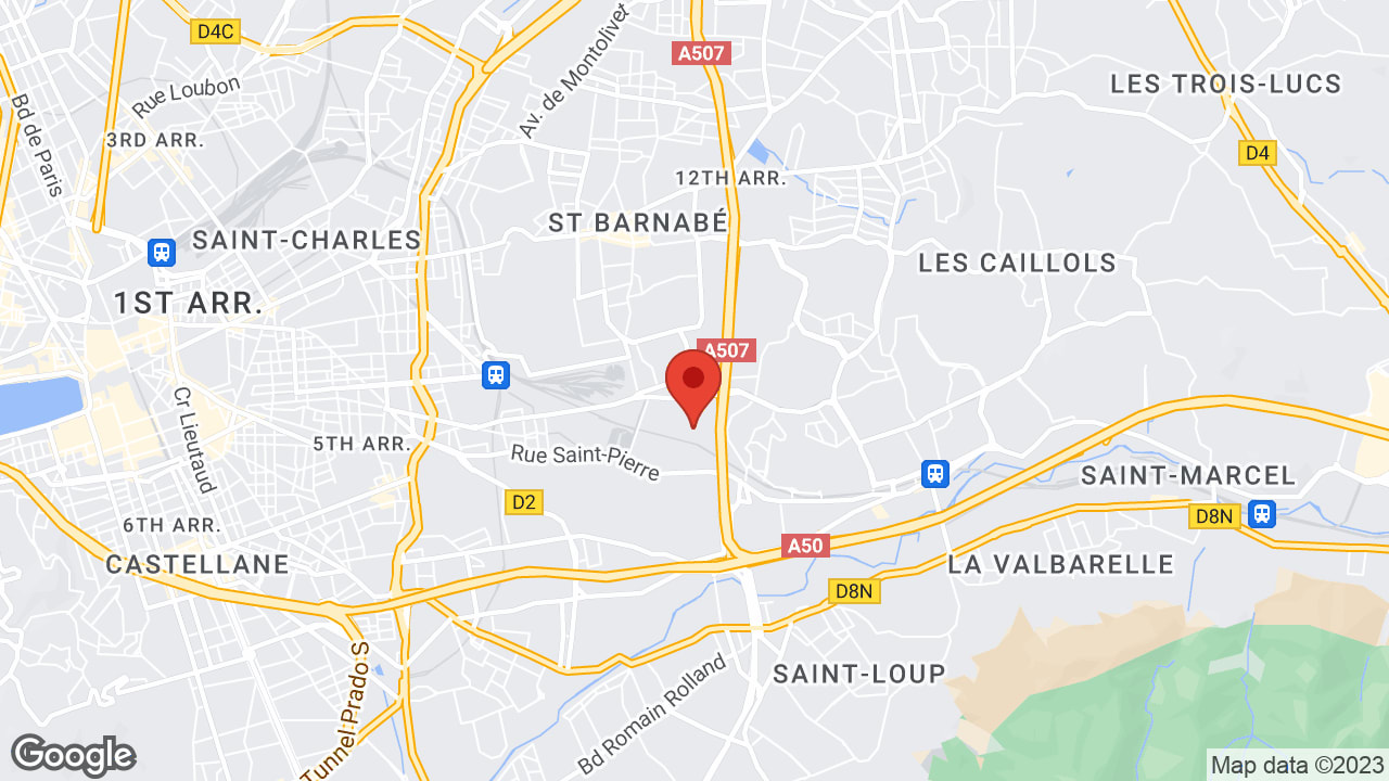 Google map