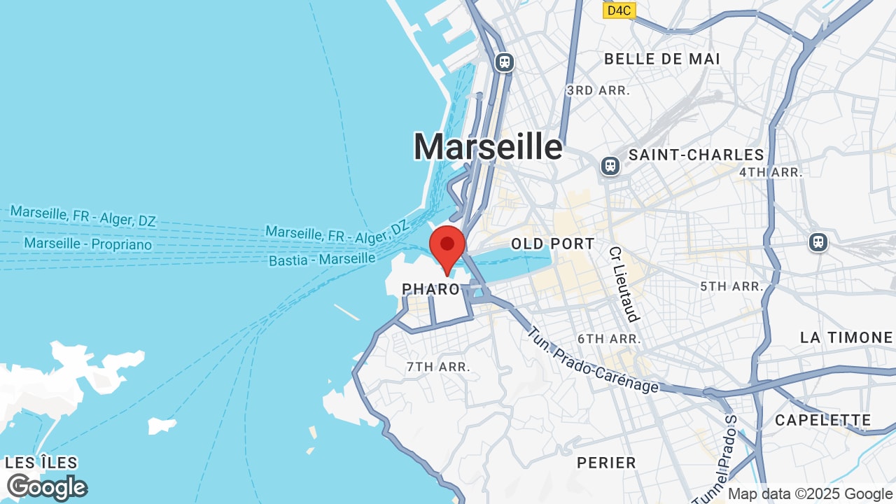 Google map