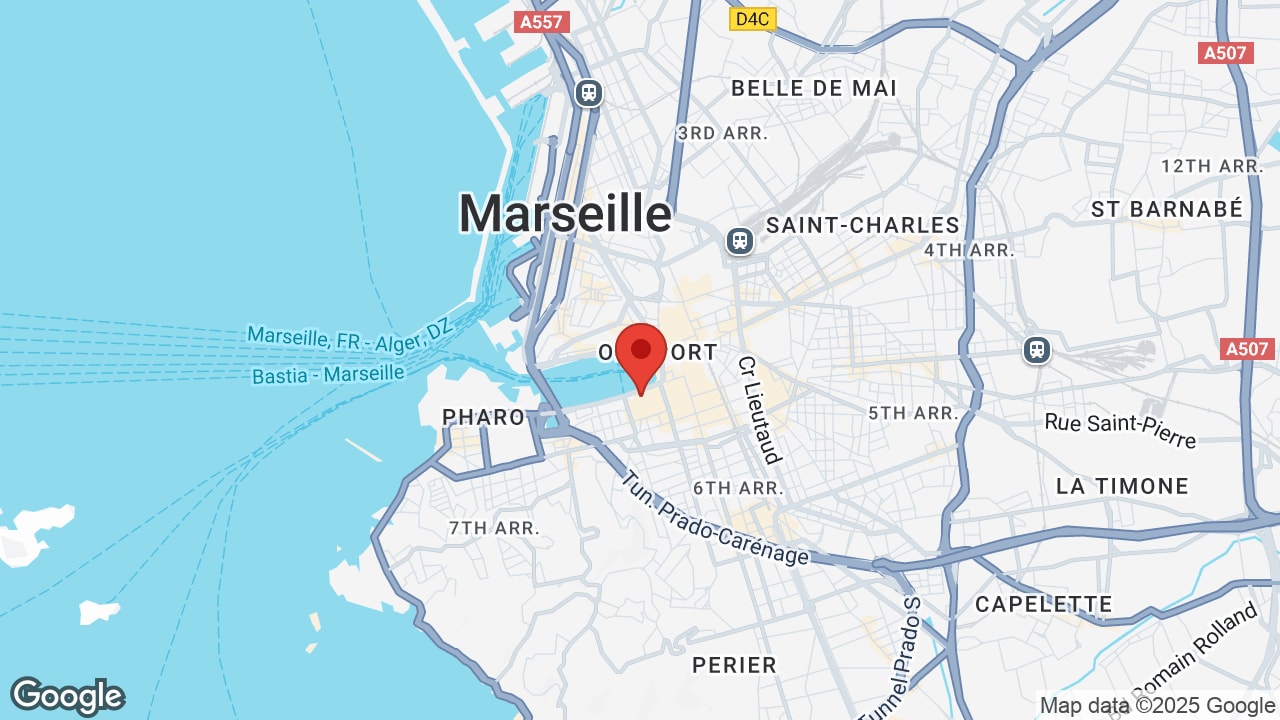 Google map