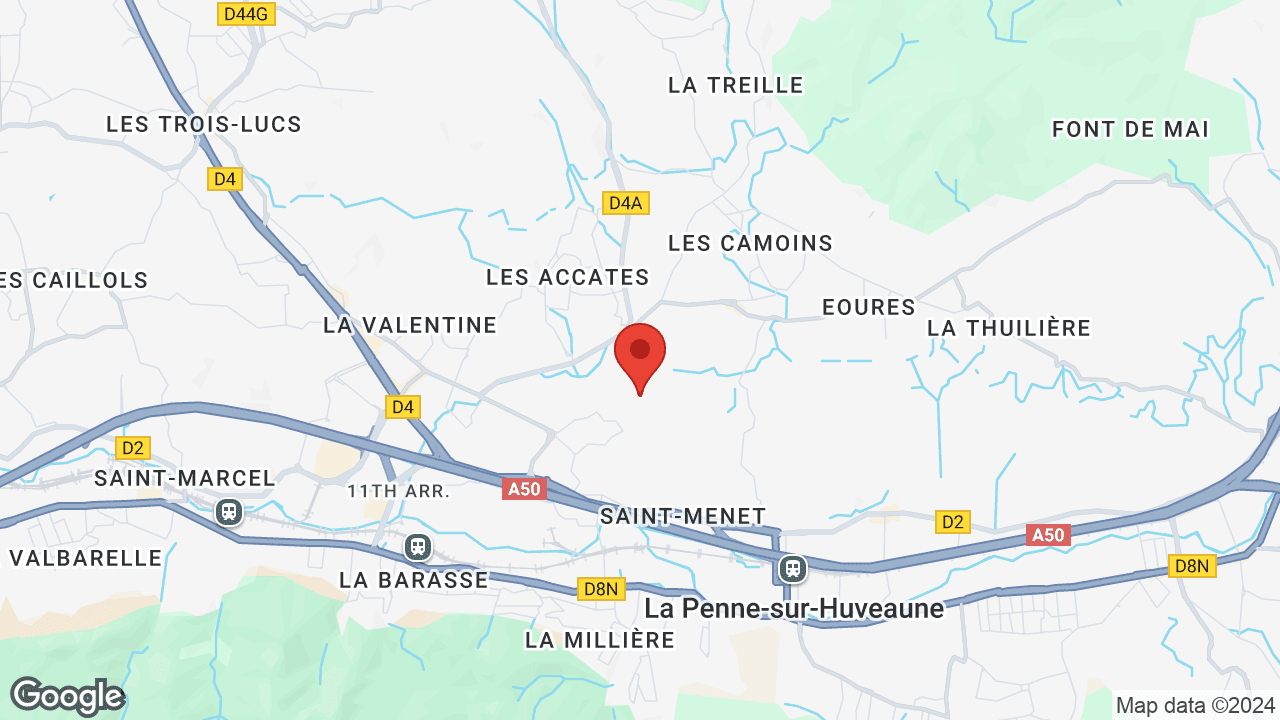 Google map