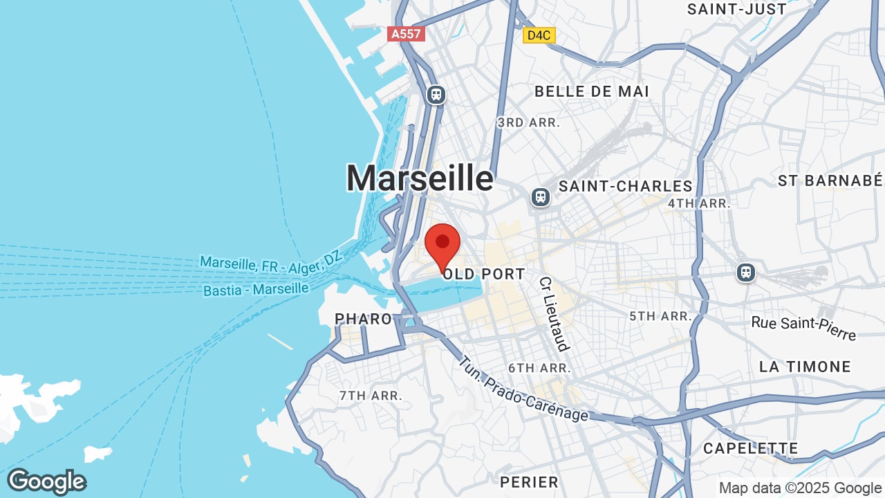 Google map