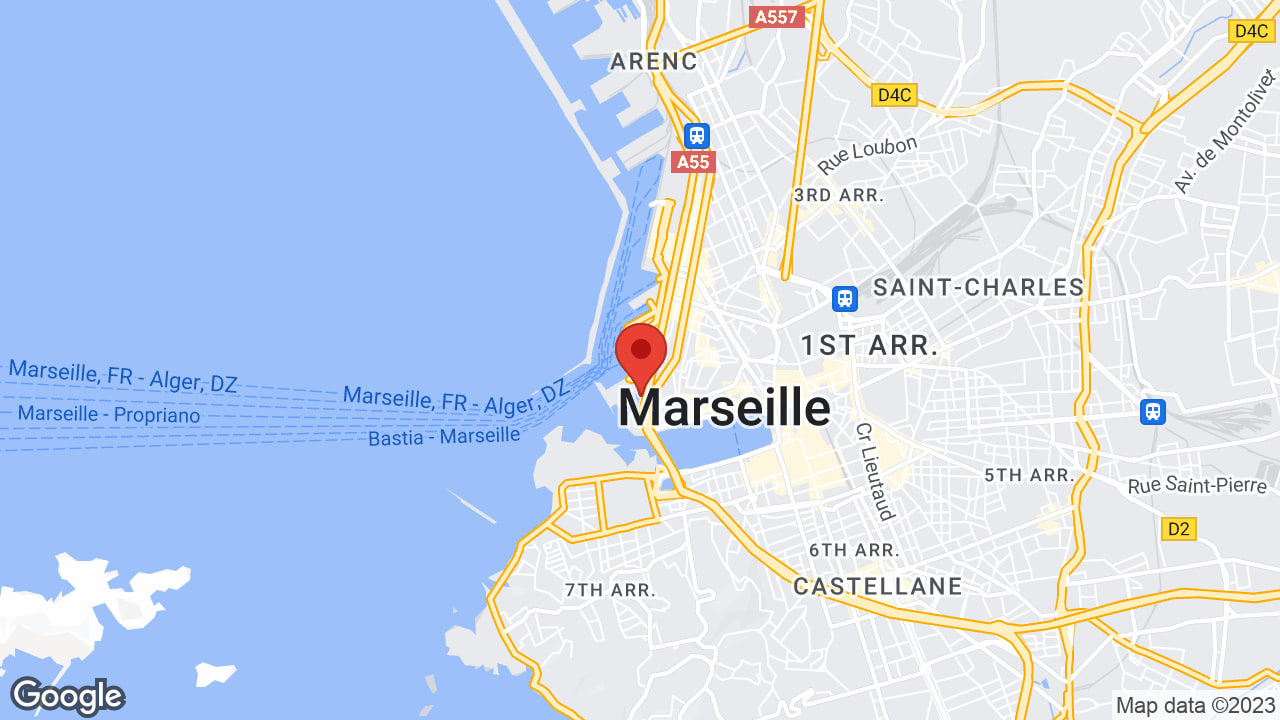 Google map