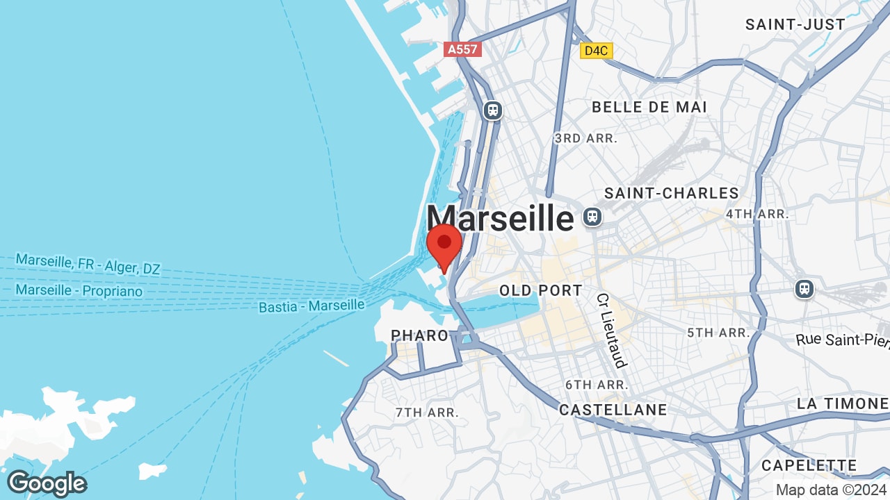 Google map