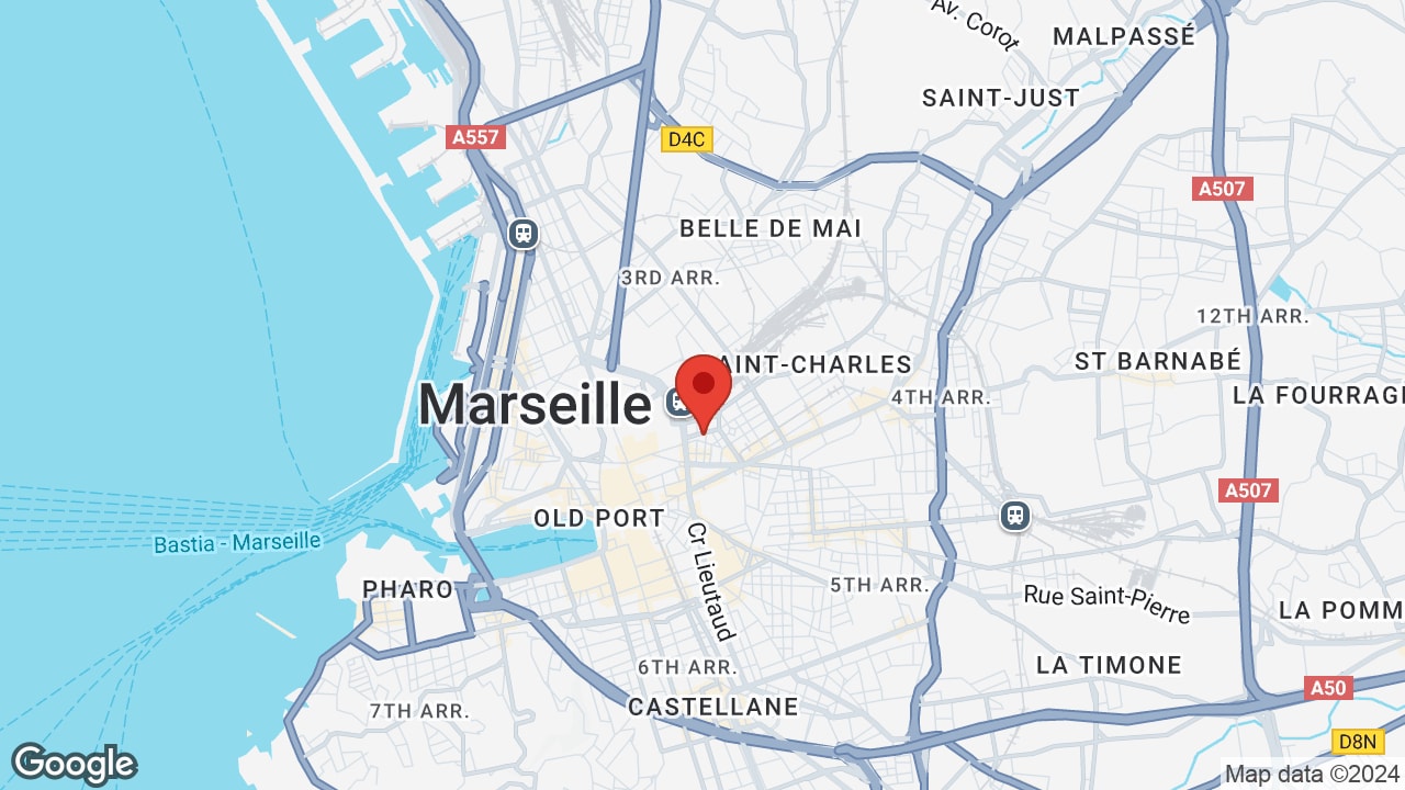 Google map