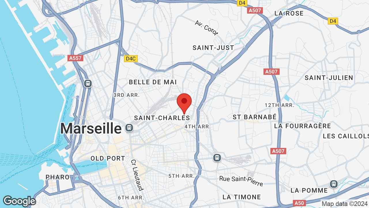 Google map
