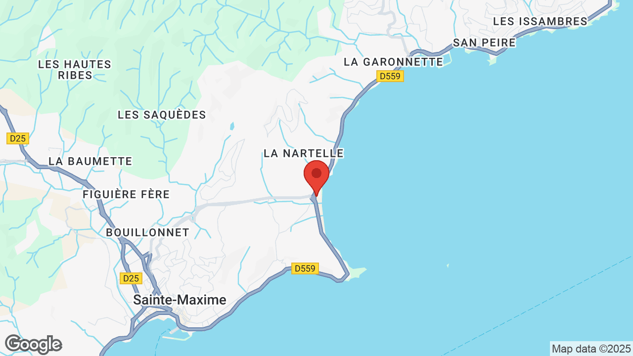 Google map