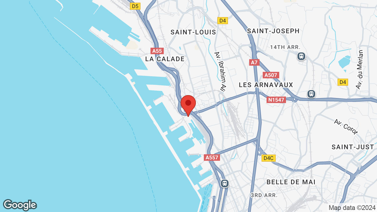 Google map