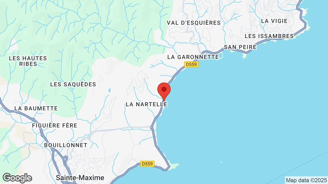 Google map