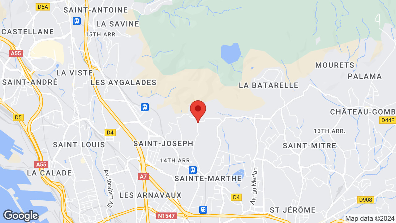 Google map