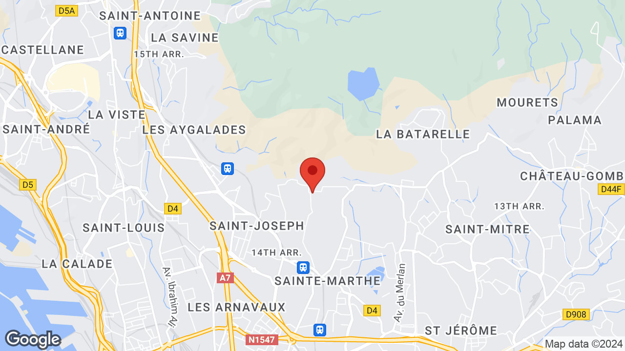 Google map