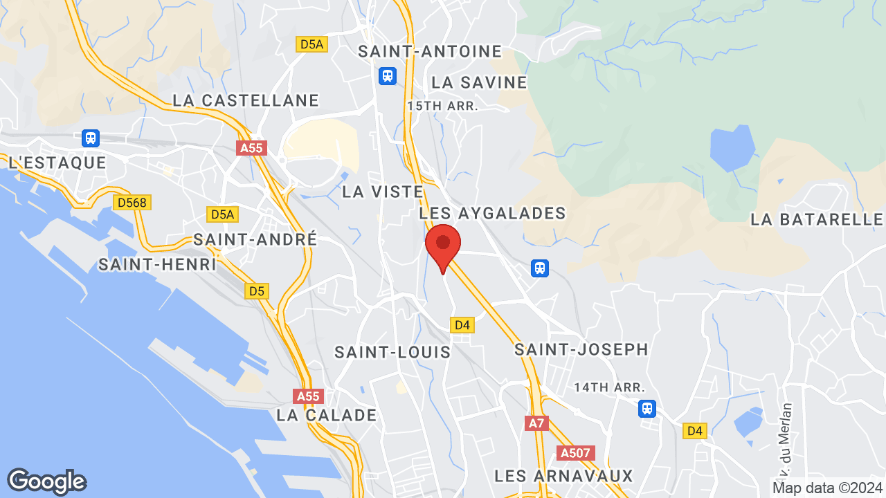 Google map