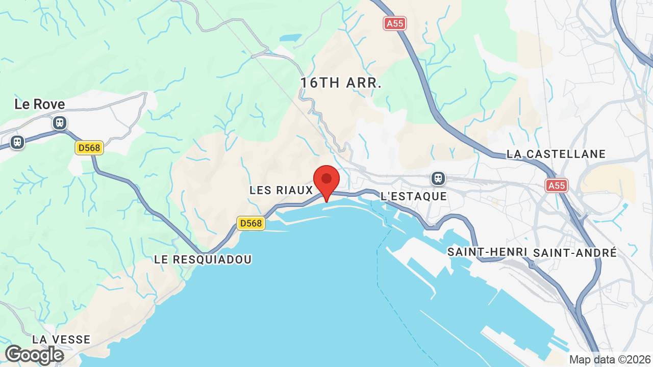 Google map