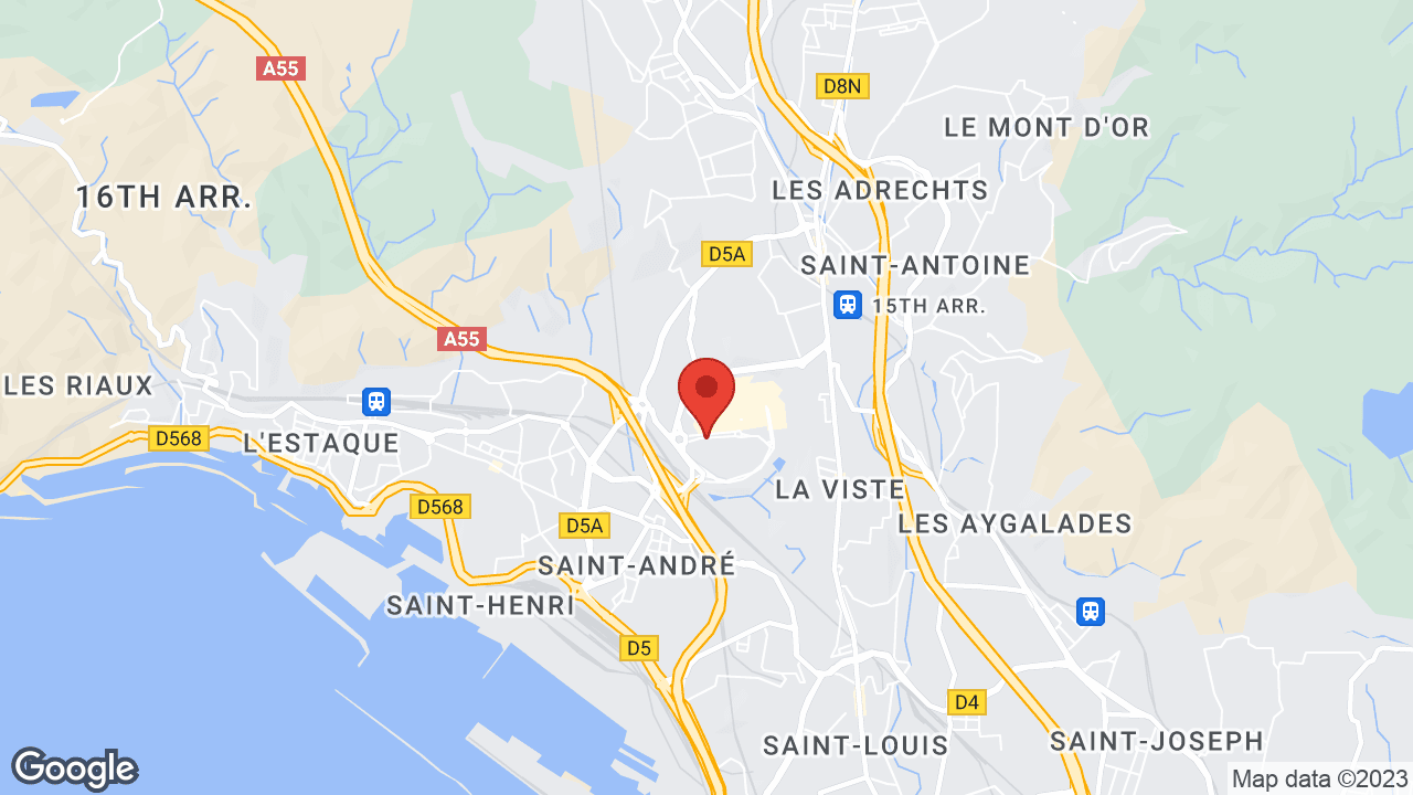Google map