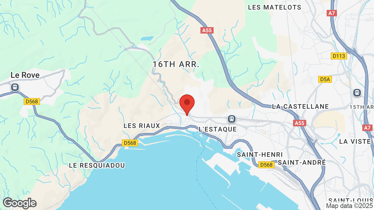 Google map
