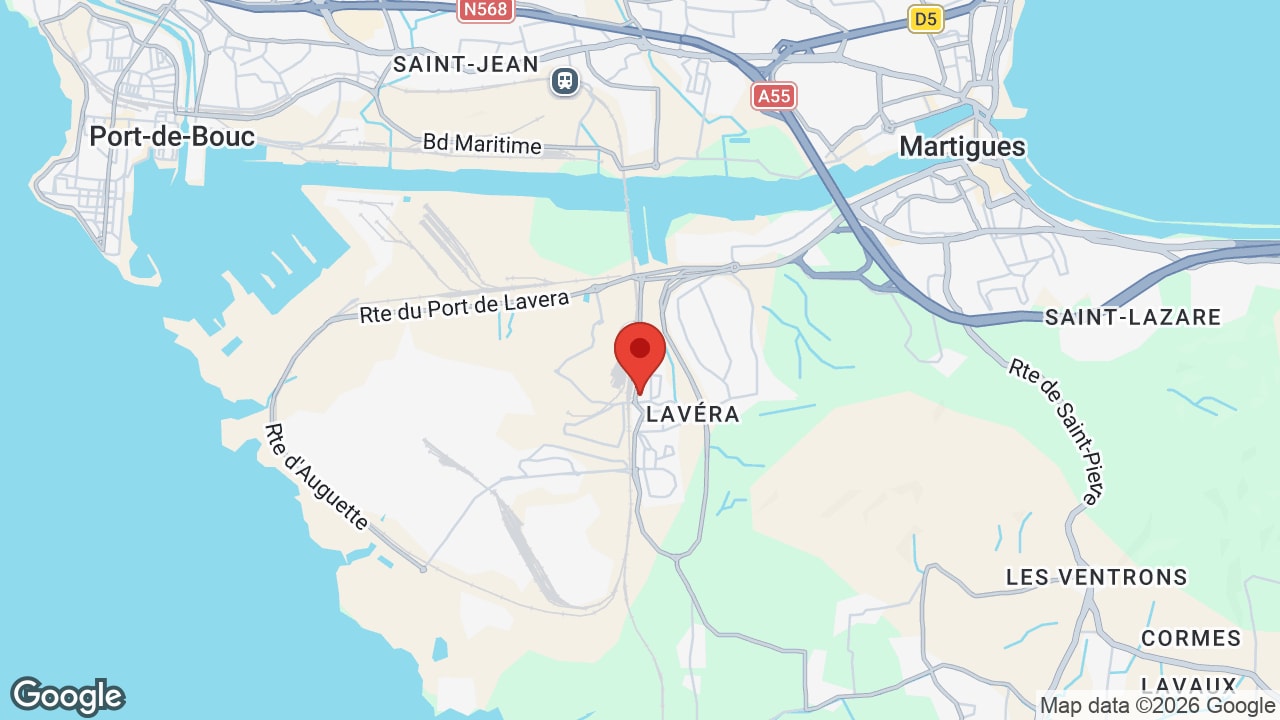 Google map