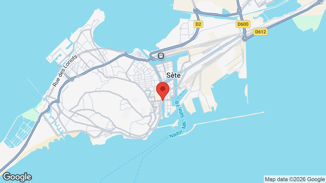 Google map