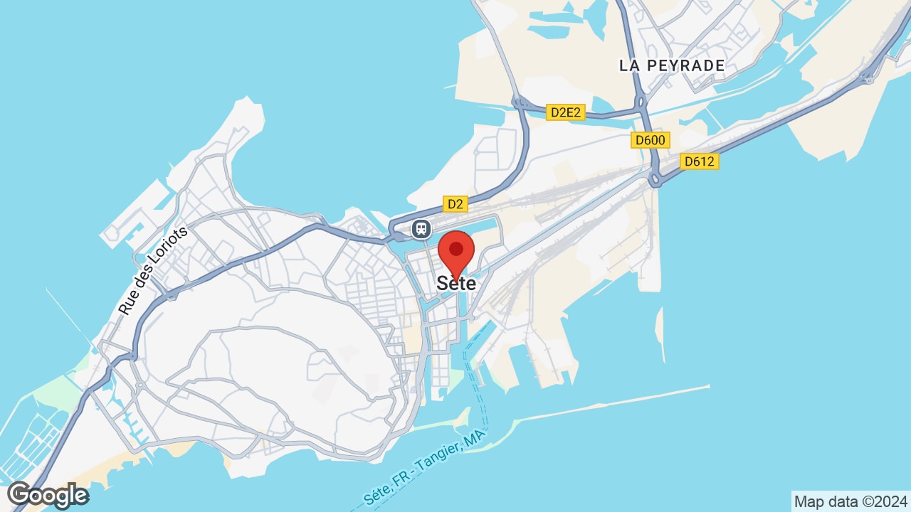 Google map