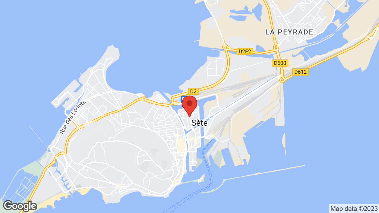 Google map