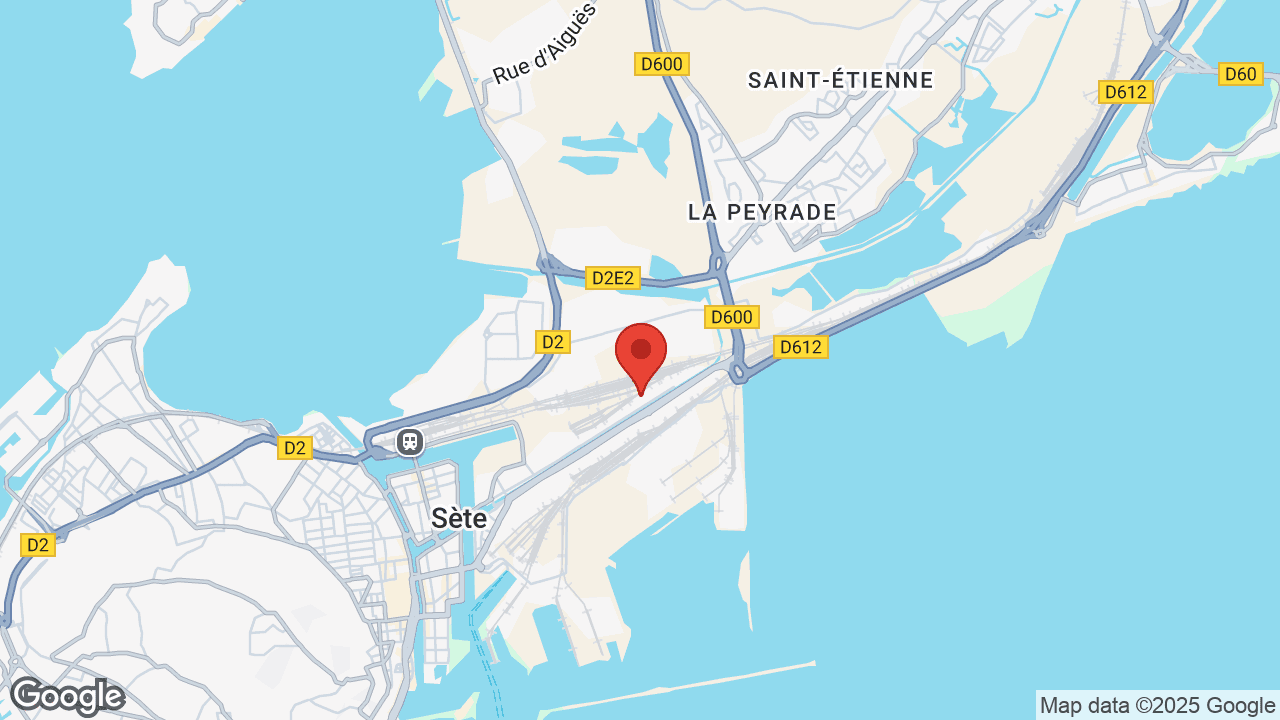 Google map