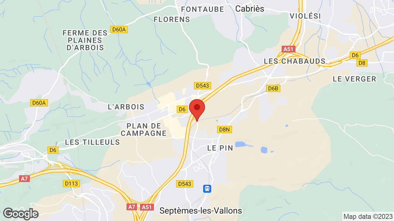 Google map