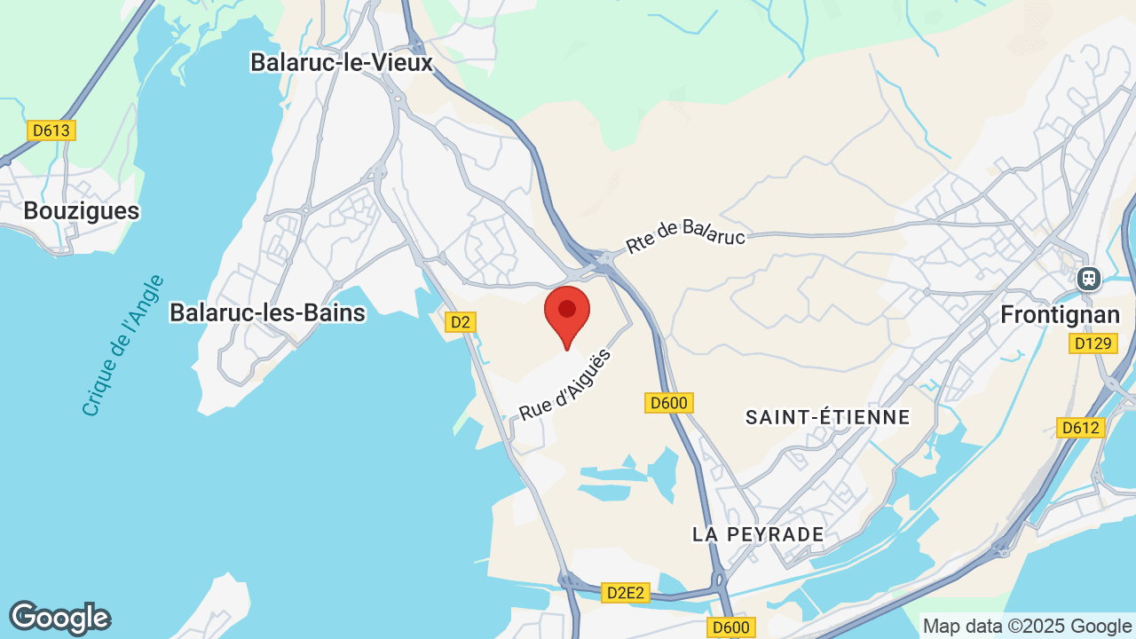 Google map