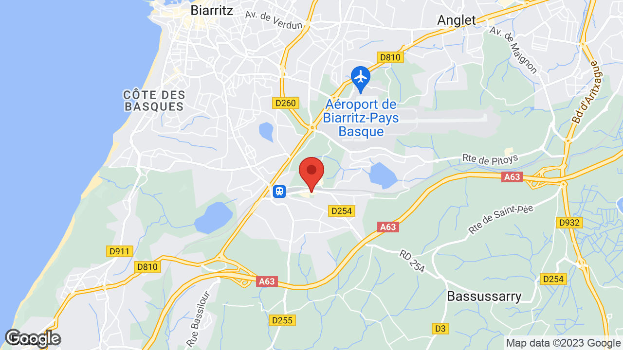Google map