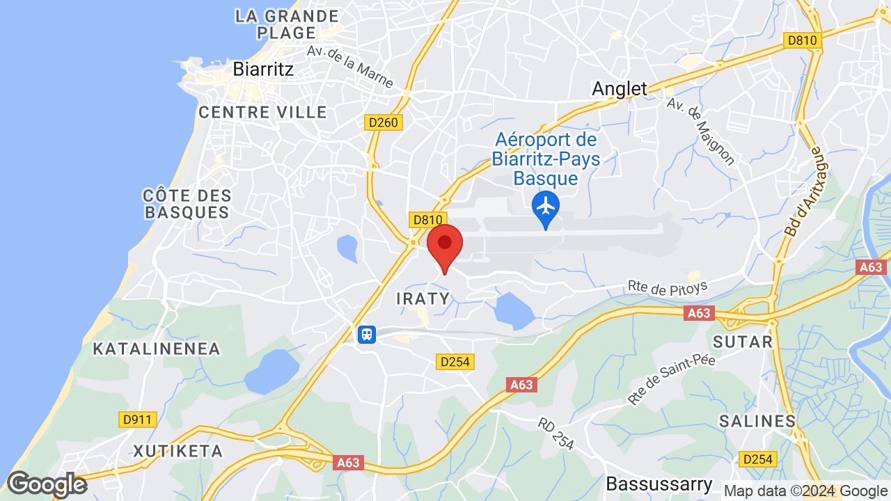 Google map