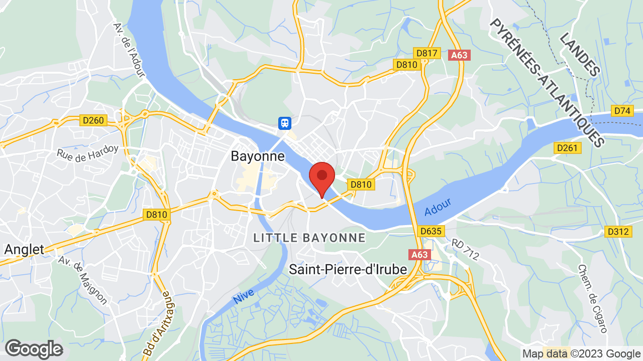 Google map
