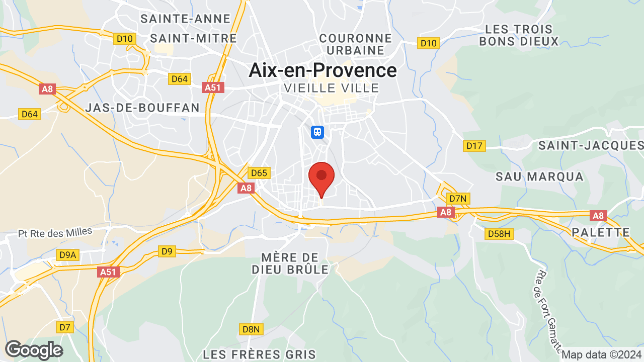 Google map