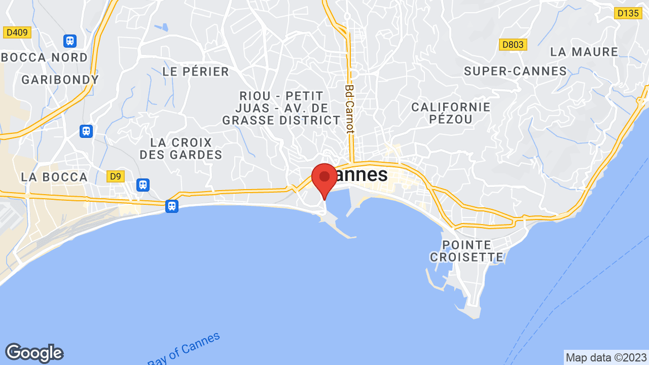 Google map