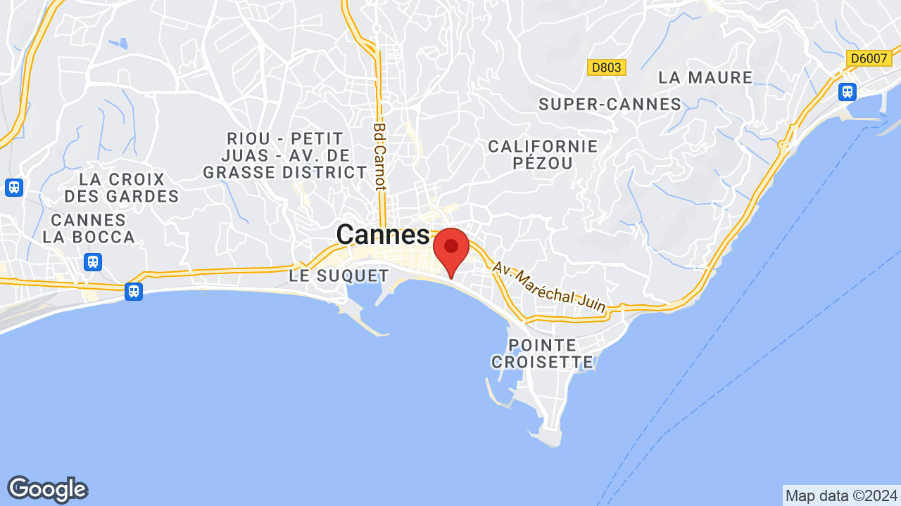 Google map