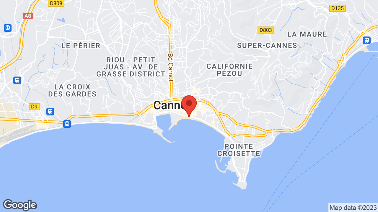 Google map