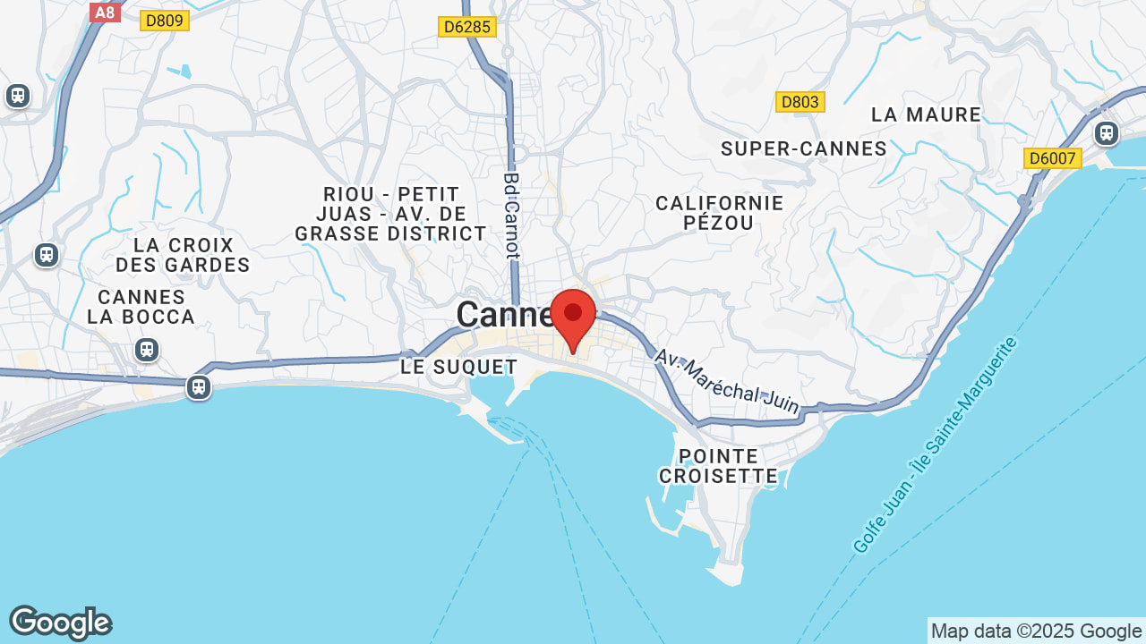 Google map