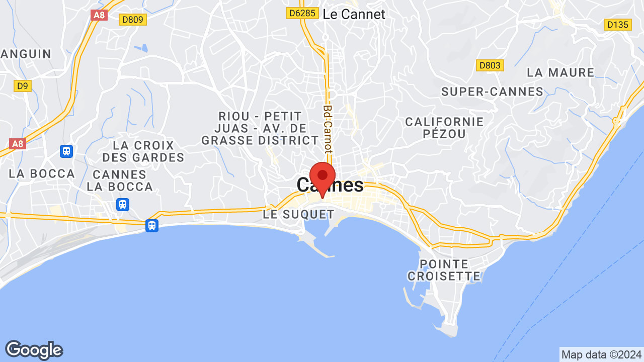 Google map