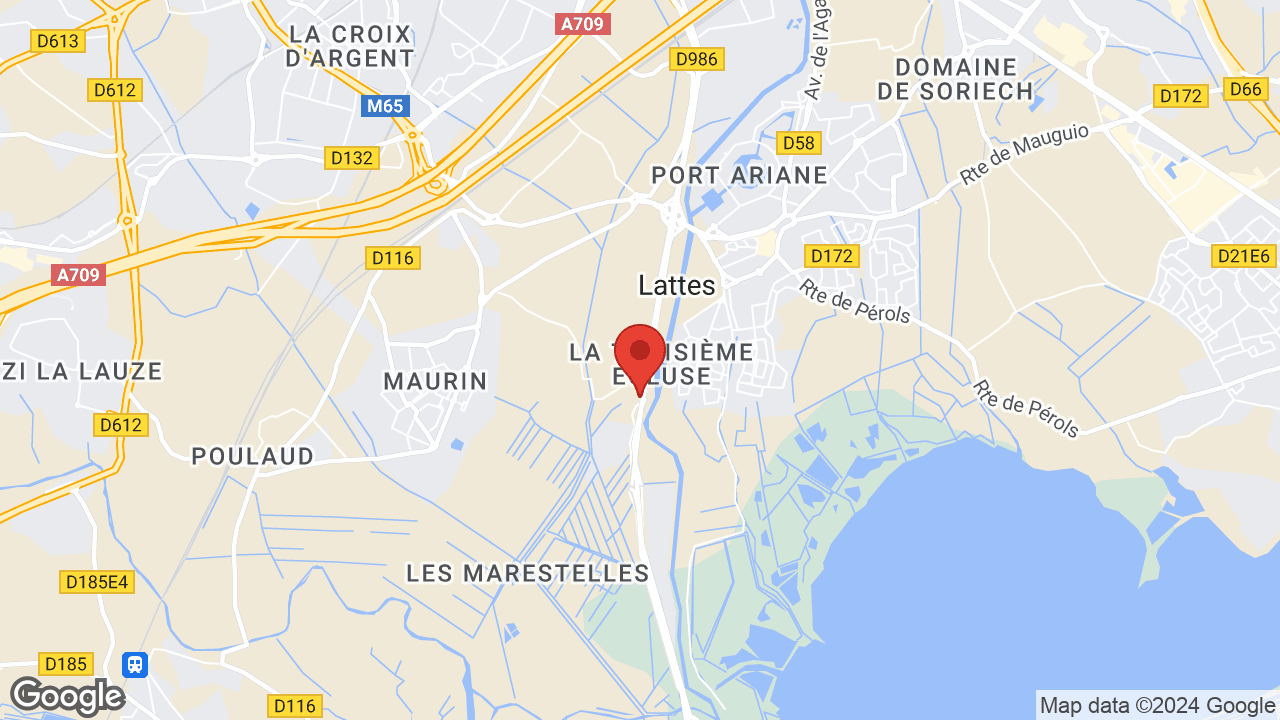 Google map