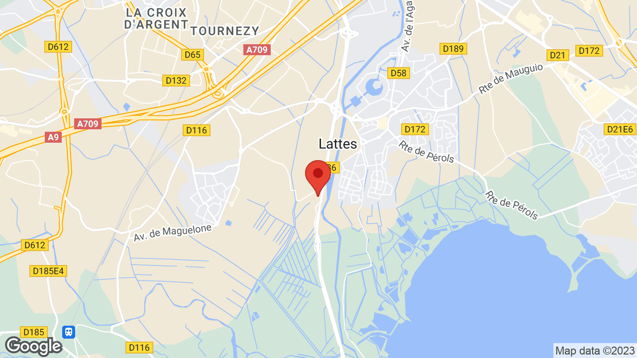 Google map