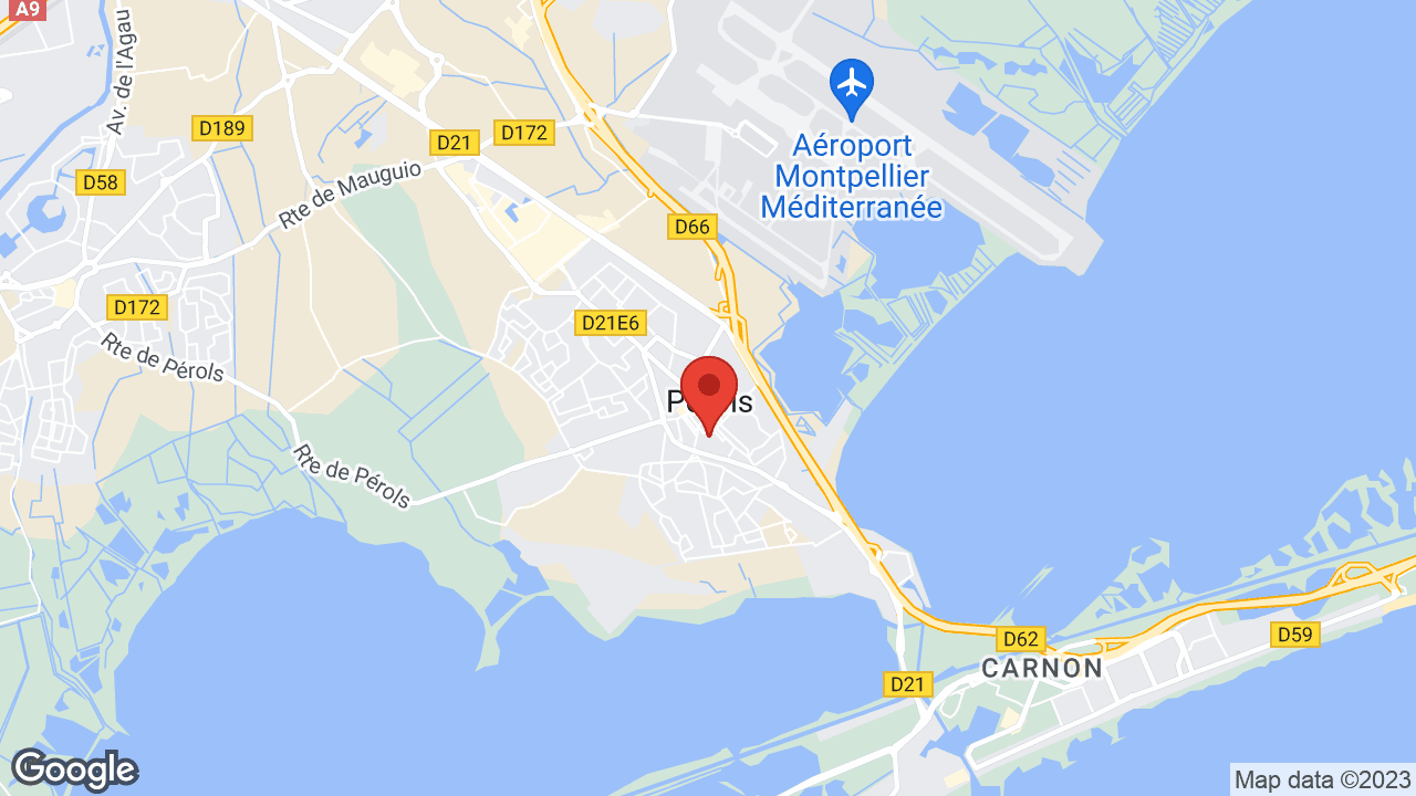 Google map