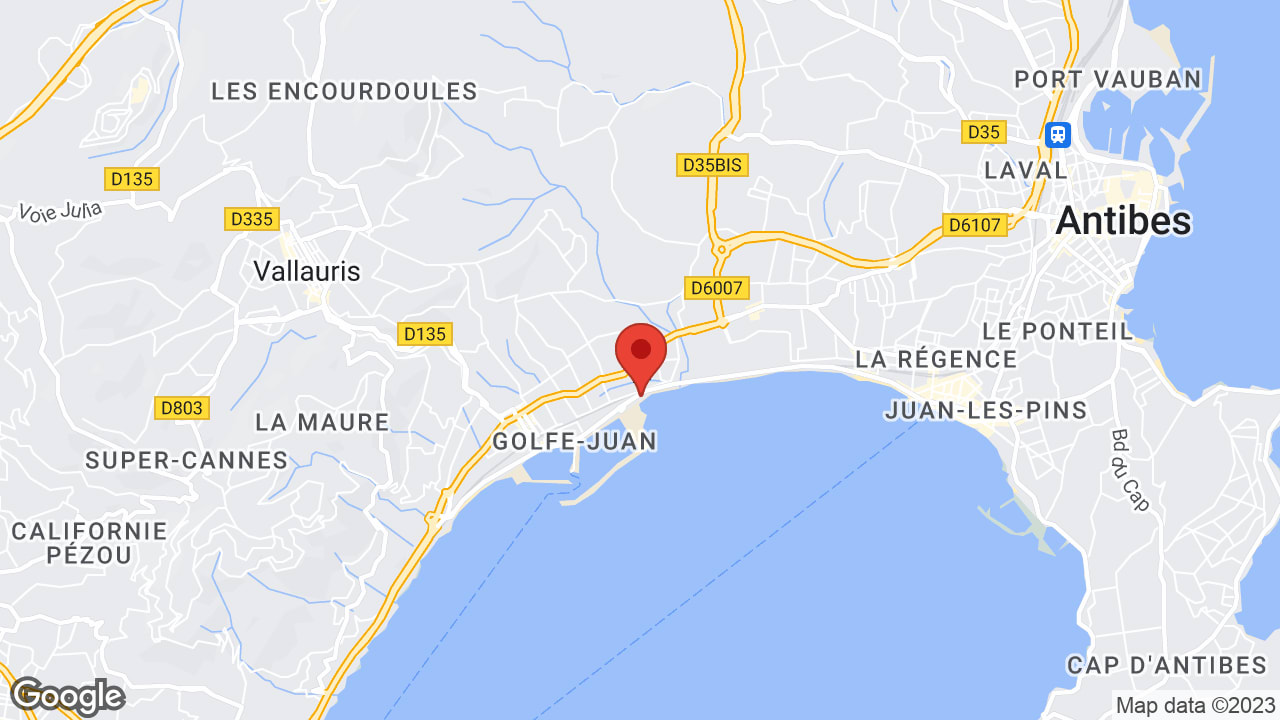 Google map