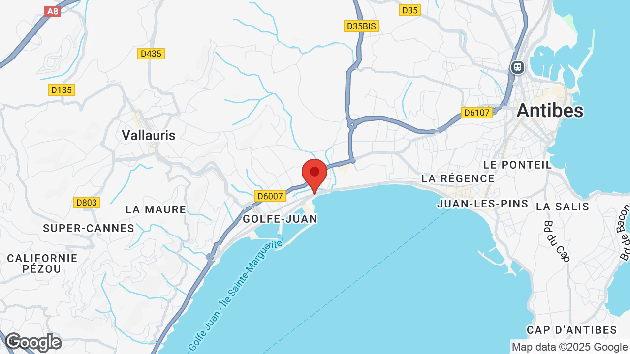 Google map