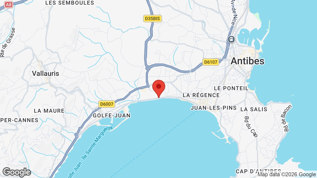 Google map