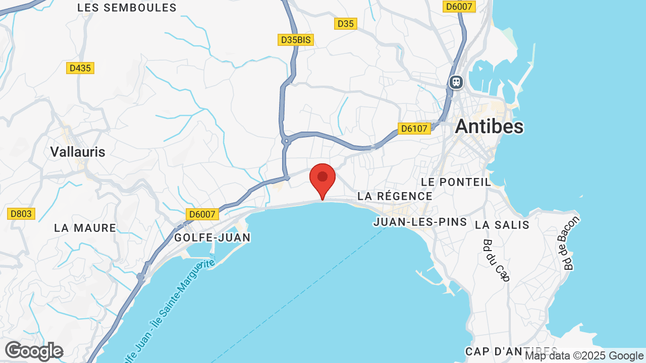 Google map