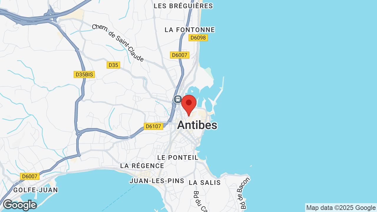 Google map