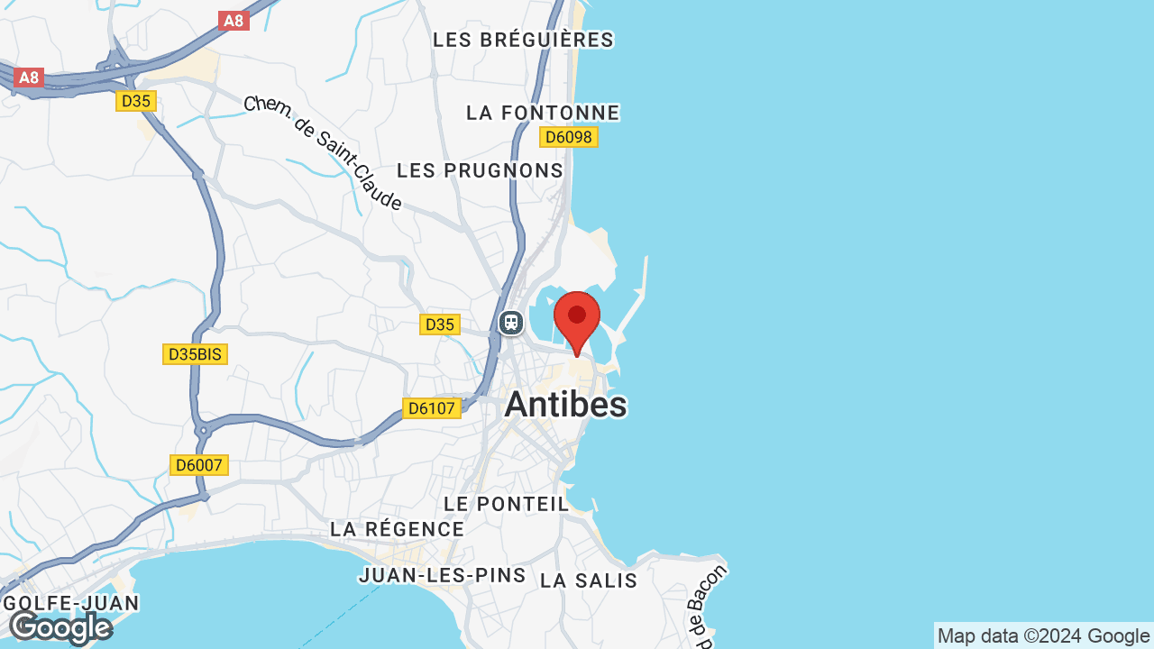 Google map