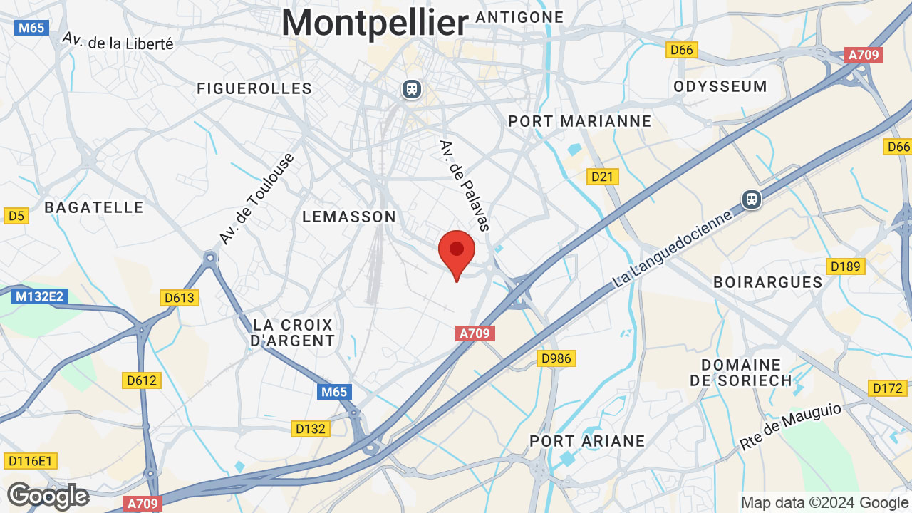 Google map