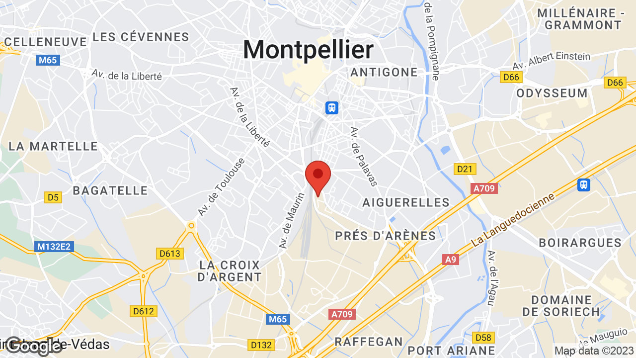 Google map