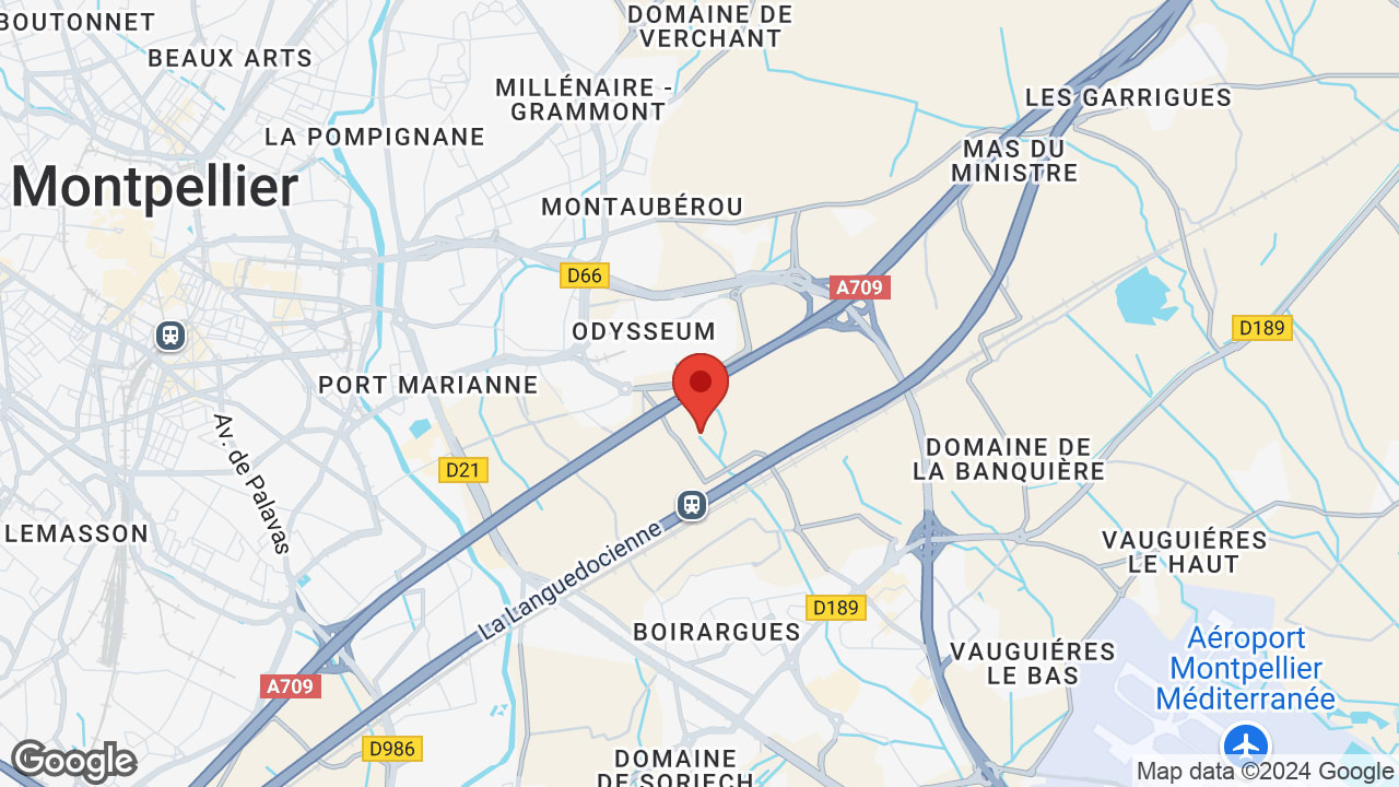 Google map