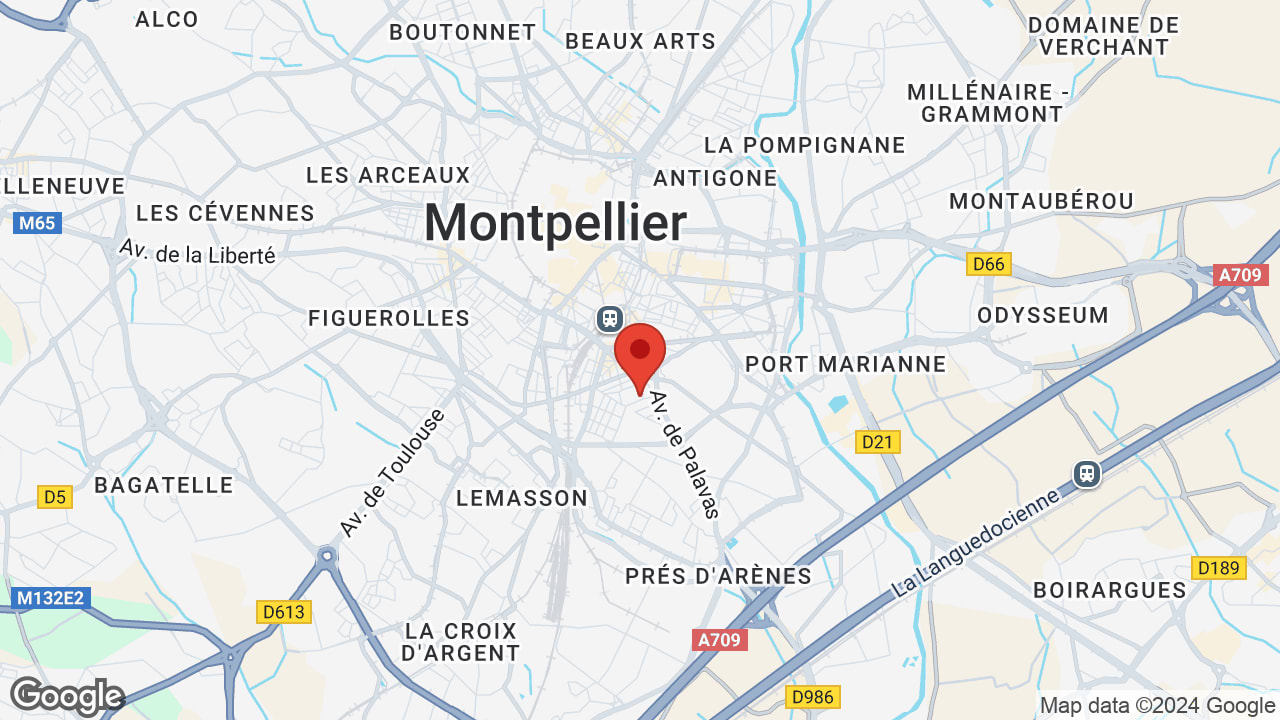 Google map