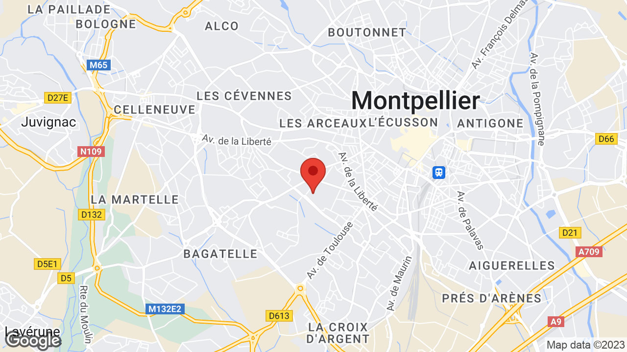 Google map