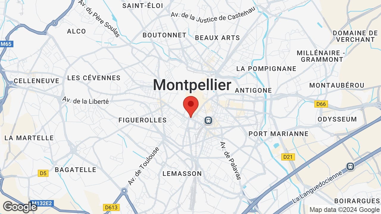 Google map